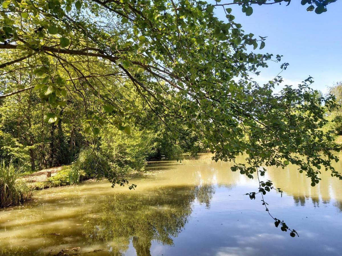 Вилла E7 Roebeck Country Park Райд Экстерьер фото