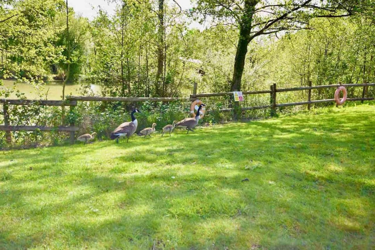 Вилла E7 Roebeck Country Park Райд Экстерьер фото